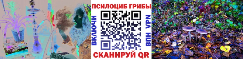 Галлюциногенные грибы GOLDEN TEACHER  Купить закладки  Омск 